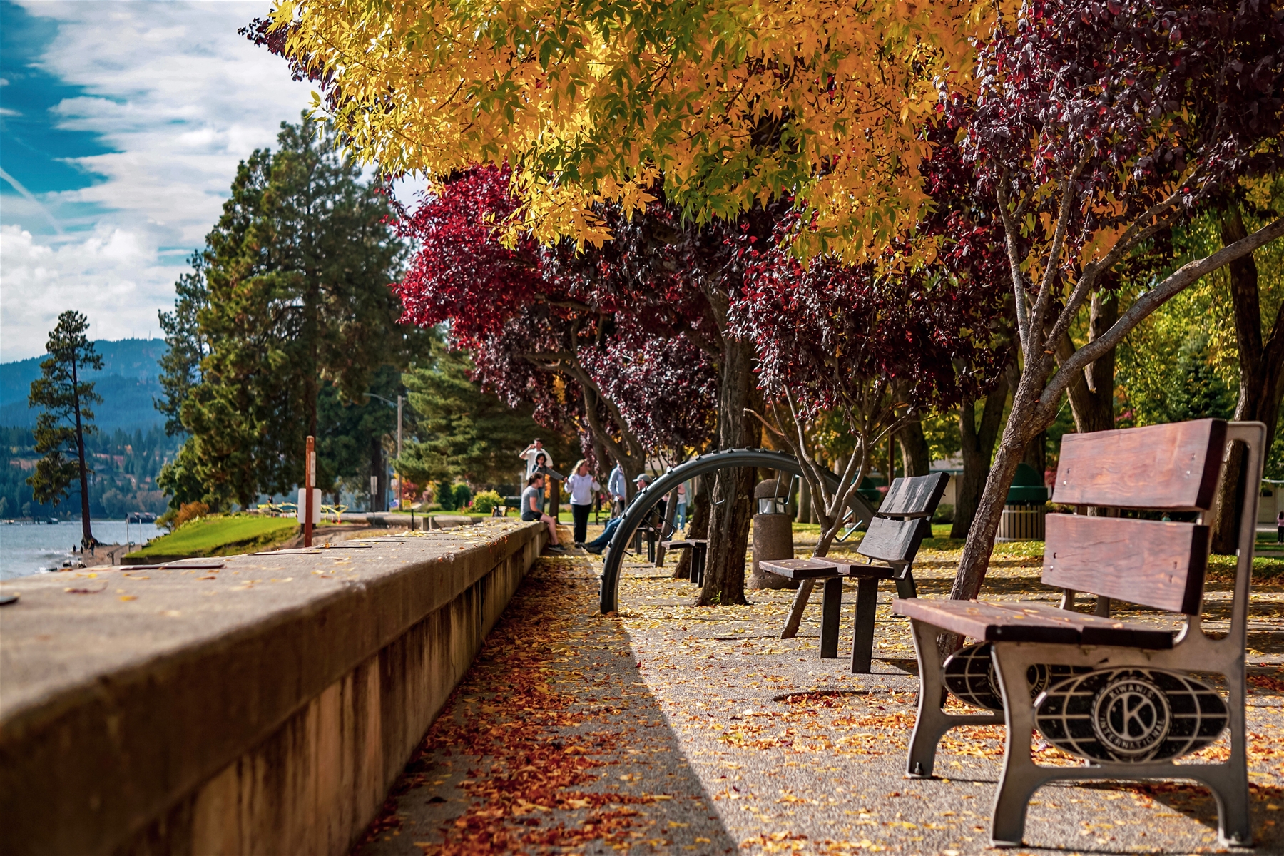 Fall Leaves along Coeur d'Alene Lake with Benches